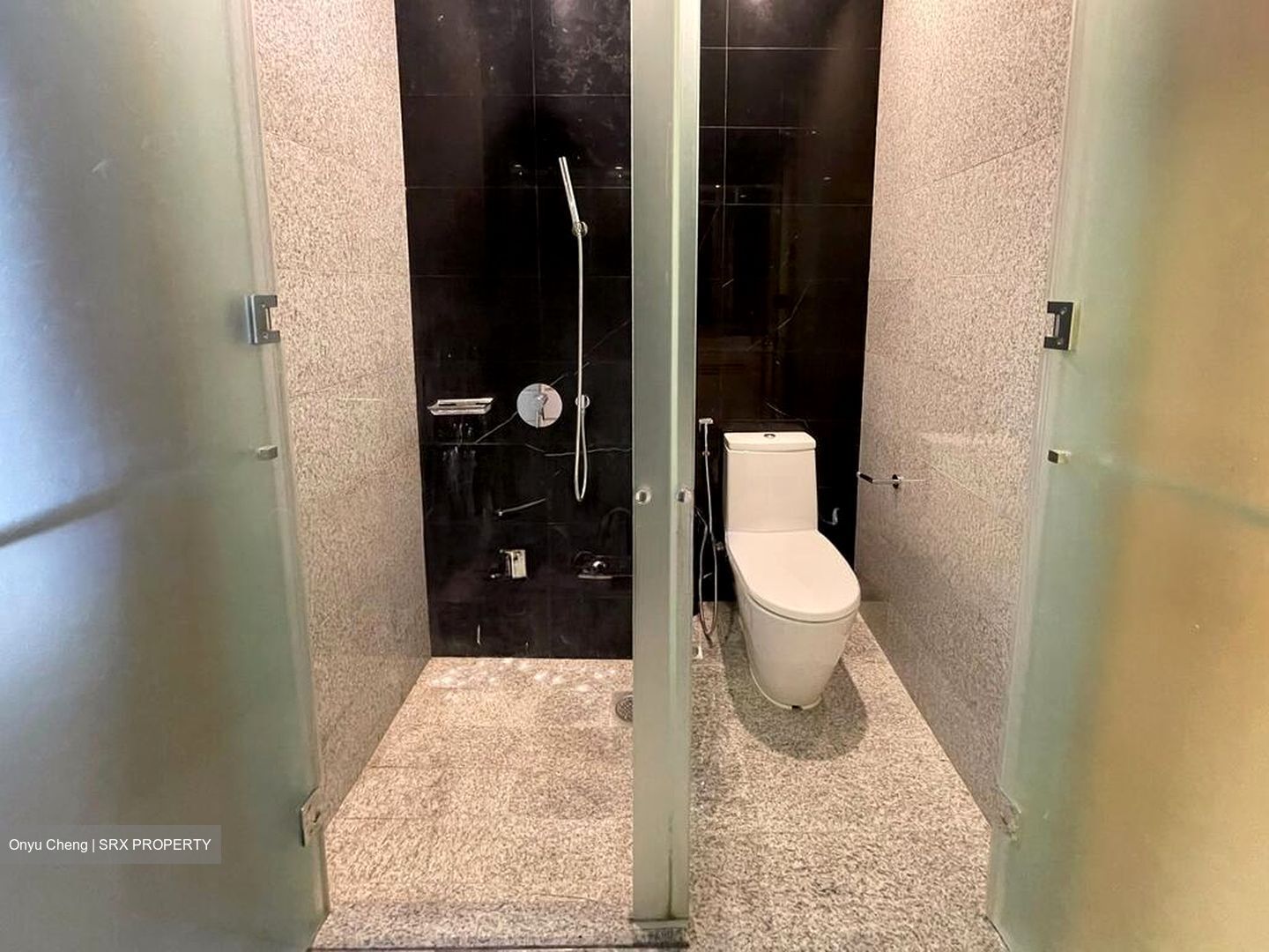 Watertown (D19), Apartment #495677011